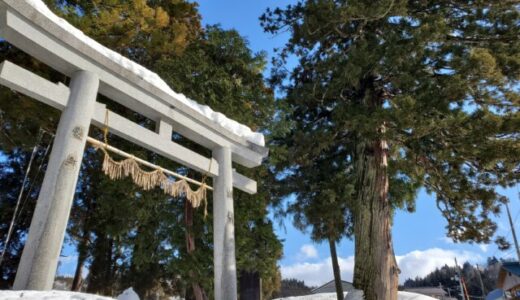 長岡市川口町の「田麦山熊野神社の大杉」